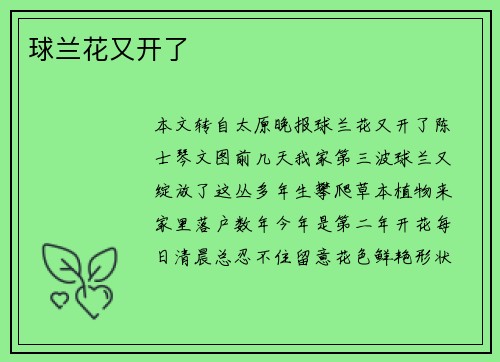 球兰花又开了